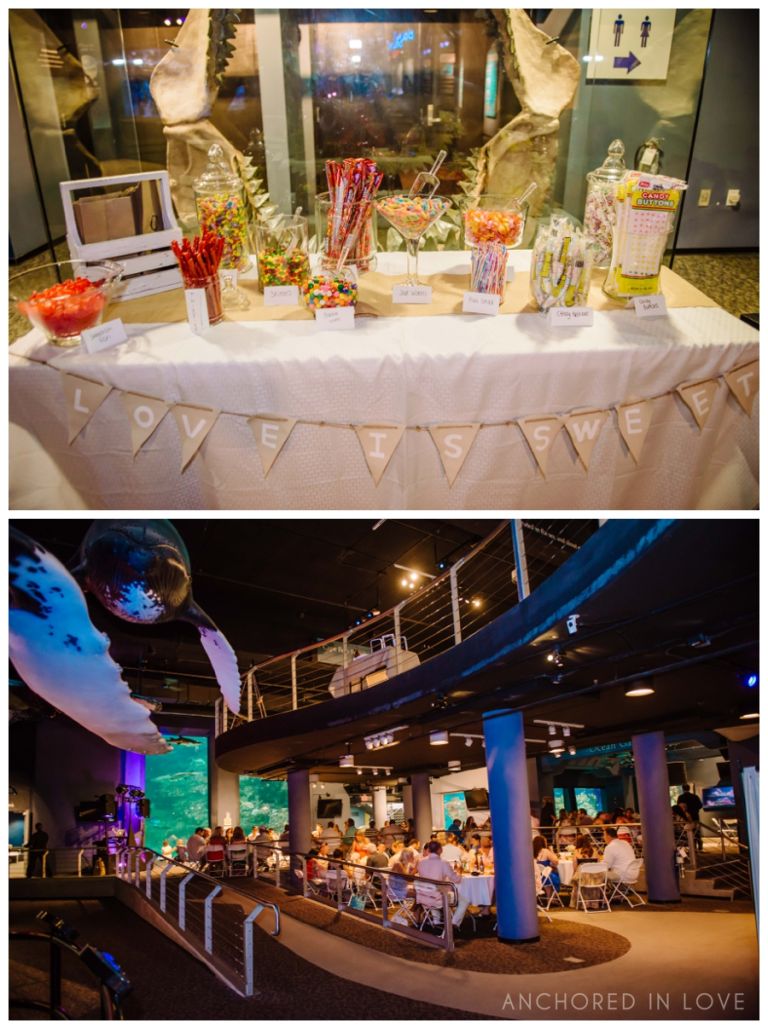 Fort Fisher NC Aquarium Wedding Anchored in Love JA_1162.jpg