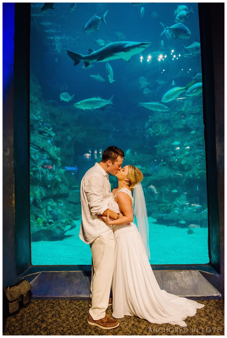 Fort Fisher NC Aquarium Wedding Anchored in Love JA_1165.jpg