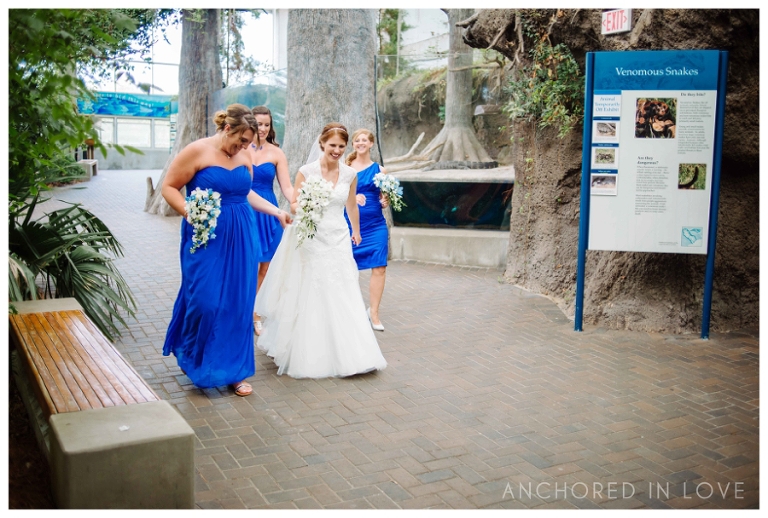KB Fort Fisher Aquarium Wedding Anchored in Love Wilmington North Carolina_1021