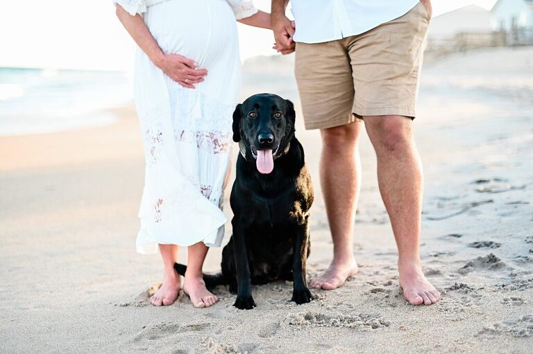 Topsail Beach Maternity Photography with Dog Lab